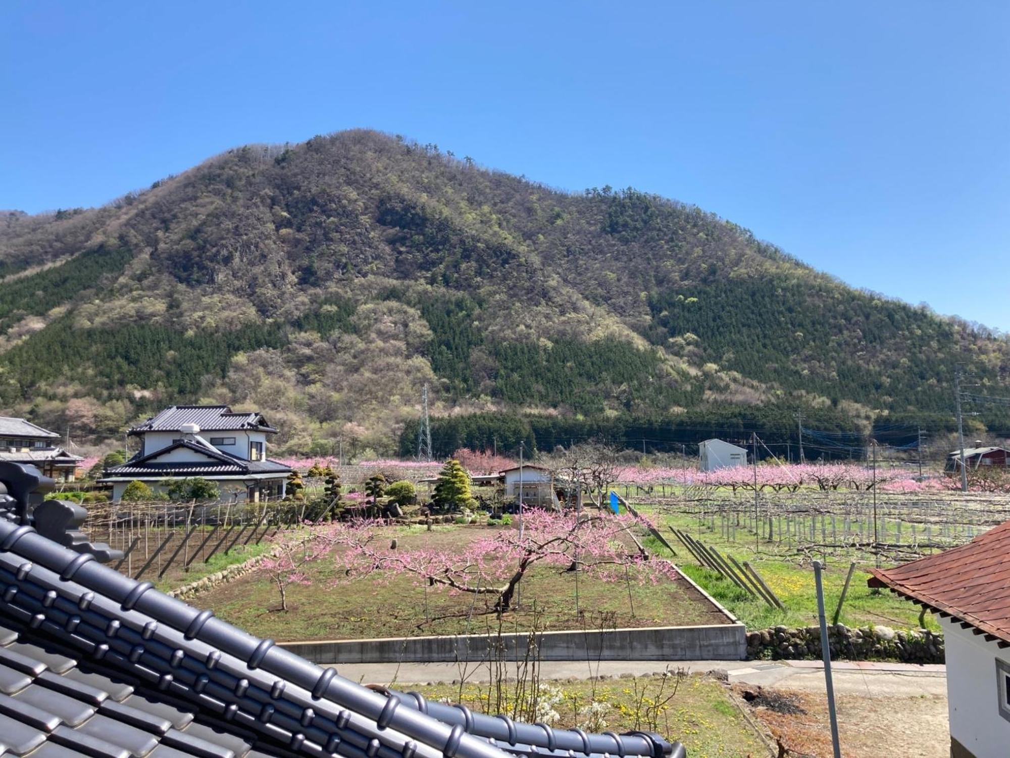 Koshu B&B Ladies Only Grape Mama Peach Room - Vacation Stay 11708 מראה חיצוני תמונה